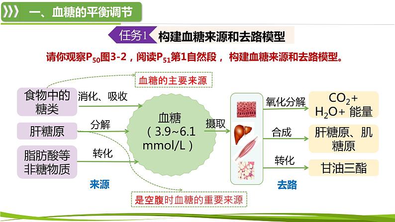 3.2+血糖平衡的调节（第1课时）（情境+问题探究课件）-2023-2024学年高二生物同步精品课件+分层训练（人教版2019选择性必修1） (1)06