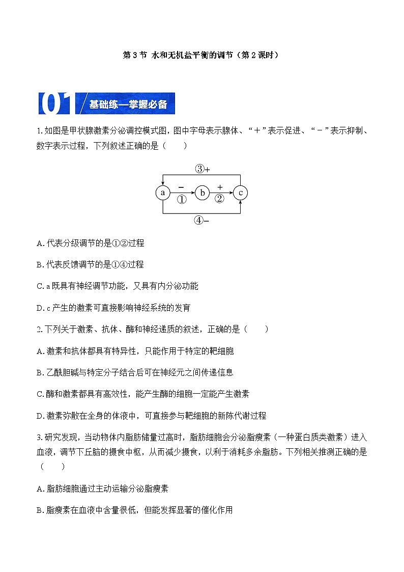 3.3 水和无机盐平衡的调节（第2课时）（分层训练）-2023-2024学年高二生物同步精品课件+分层训练（人教版2019选择性必修1）01