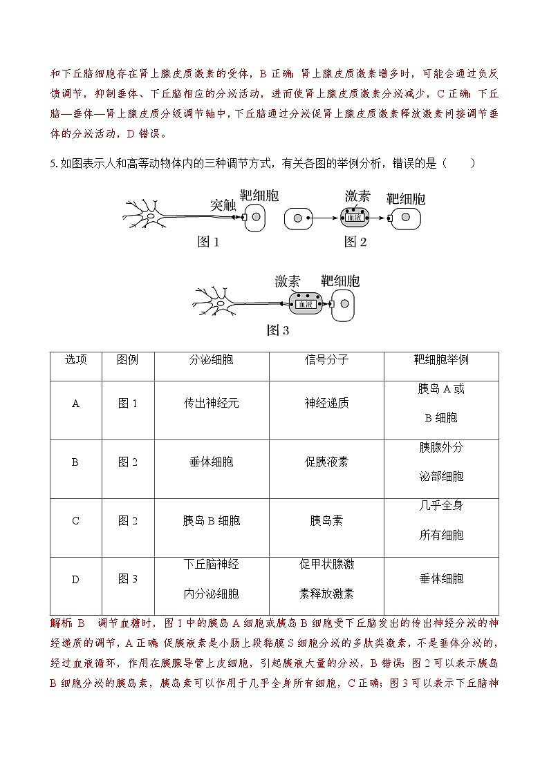 3.3 水和无机盐平衡的调节（第2课时）（分层训练）-2023-2024学年高二生物同步精品课件+分层训练（人教版2019选择性必修1）03