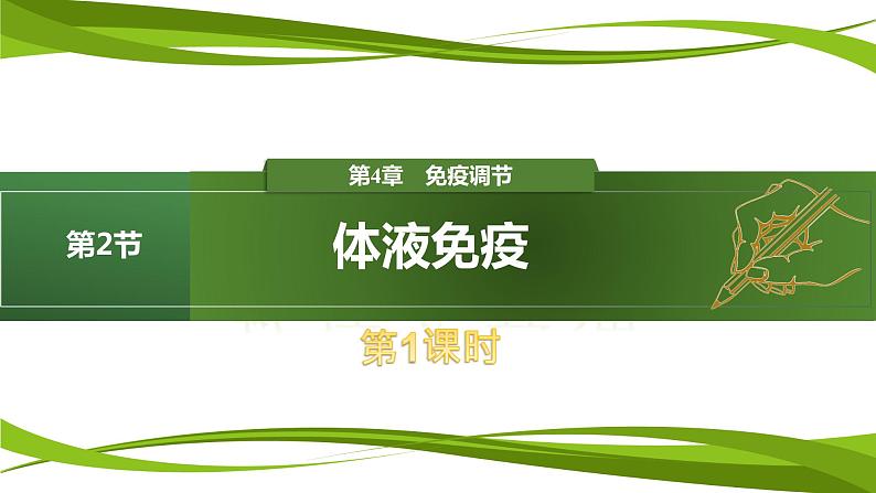 4.2.1 体液免疫（情境+问题探究课件）-2023-2024学年高二生物同步精品课件+分层训练（人教版2019选择性必修1）第1页