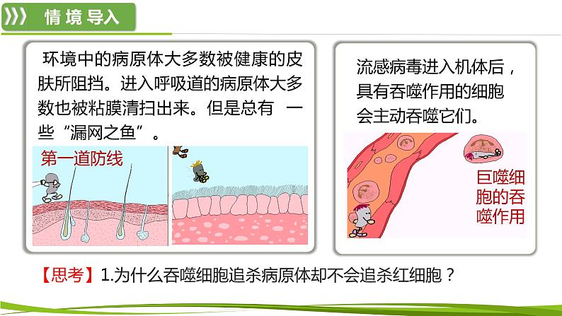 4.2.1 体液免疫（情境+问题探究课件）-2023-2024学年高二生物同步精品课件+分层训练（人教版2019选择性必修1）第4页