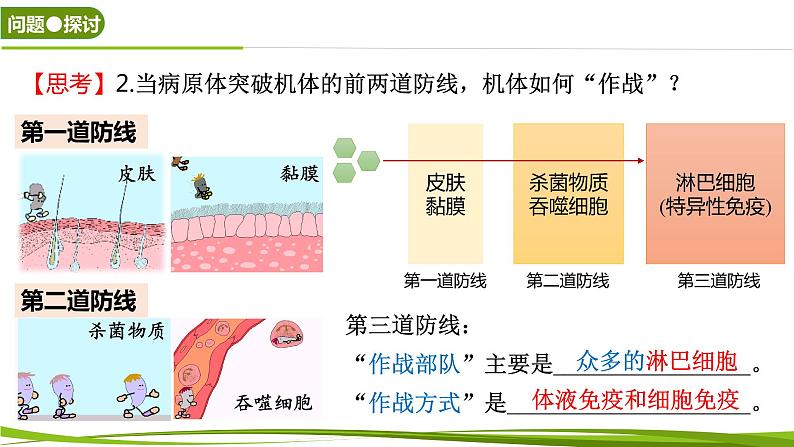 4.2.1 体液免疫（情境+问题探究课件）-2023-2024学年高二生物同步精品课件+分层训练（人教版2019选择性必修1）第8页