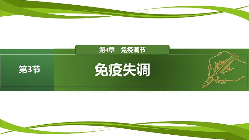 4.3 免疫失调（情境+问题探究课件）-2023-2024学年高二生物同步精品课件+分层训练（人教版2019选择性必修1）01