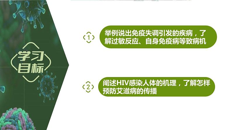 4.3 免疫失调（情境+问题探究课件）-2023-2024学年高二生物同步精品课件+分层训练（人教版2019选择性必修1）02