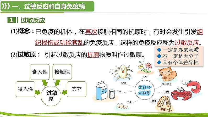 4.3 免疫失调（情境+问题探究课件）-2023-2024学年高二生物同步精品课件+分层训练（人教版2019选择性必修1）06