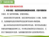 第4章 免疫调节（复习课件）-2023-2024学年高二生物同步精品课件+分层训练（人教版2019选择性必修1）
