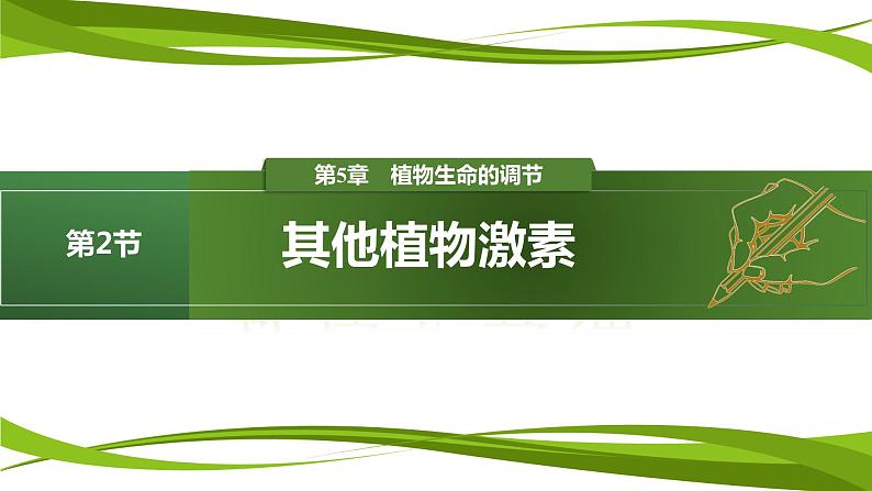 5.2 其他植物激素（情境+问题探究课件）-2023-2024学年高二生物同步精品课件+分层训练（人教版2019选择性必修1）第1页