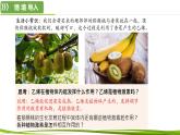 5.2 其他植物激素（情境+问题探究课件）-2023-2024学年高二生物同步精品课件+分层训练（人教版2019选择性必修1）