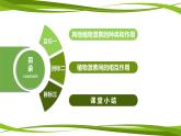 5.2 其他植物激素（情境+问题探究课件）-2023-2024学年高二生物同步精品课件+分层训练（人教版2019选择性必修1）