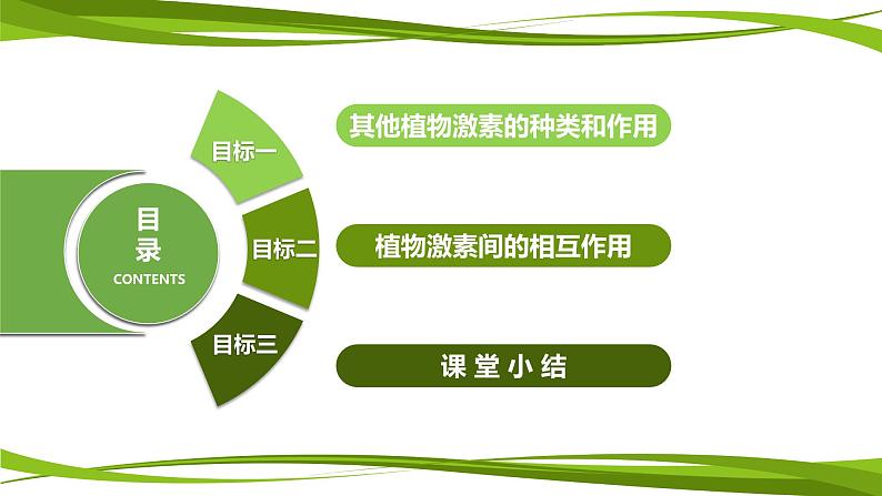 5.2 其他植物激素（情境+问题探究课件）-2023-2024学年高二生物同步精品课件+分层训练（人教版2019选择性必修1）第4页