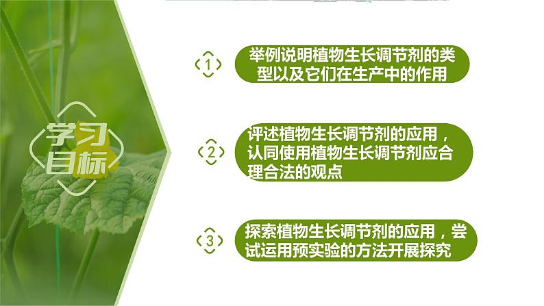 5.3+植物生长调节剂的应用（情境+问题探究课件）-2023-2024学年高二生物同步精品课件+分层训练（人教版2019选择性必修1） (1)02