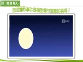 5.3+植物生长调节剂的应用（情境+问题探究课件）-2023-2024学年高二生物同步精品课件+分层训练（人教版2019选择性必修1） (1)