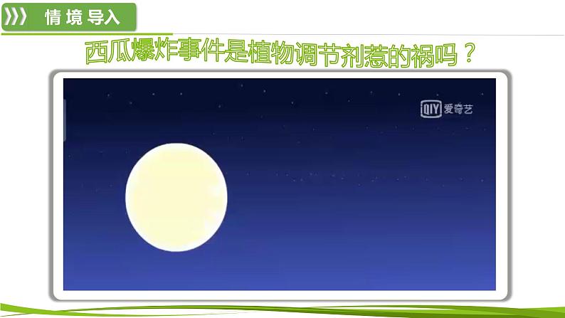 5.3+植物生长调节剂的应用（情境+问题探究课件）-2023-2024学年高二生物同步精品课件+分层训练（人教版2019选择性必修1） (1)03