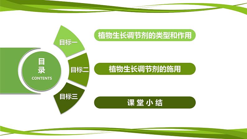 5.3+植物生长调节剂的应用（情境+问题探究课件）-2023-2024学年高二生物同步精品课件+分层训练（人教版2019选择性必修1） (1)04
