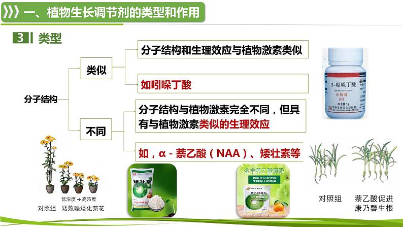 5.3+植物生长调节剂的应用（情境+问题探究课件）-2023-2024学年高二生物同步精品课件+分层训练（人教版2019选择性必修1） (1)06