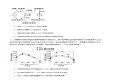5.4 环境因素参与调节植物的生命活动（分层训练）-2023-2024学年高二生物同步精品课件+分层训练（人教版2019选择性必修1）