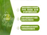 5.4 环境因素参与调节植物的生命活动（情境+问题探究课件）-2023-2024学年高二生物同步精品课件+分层训练（人教版2019选择性必修1）