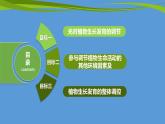 5.4 环境因素参与调节植物的生命活动（情境+问题探究课件）-2023-2024学年高二生物同步精品课件+分层训练（人教版2019选择性必修1）