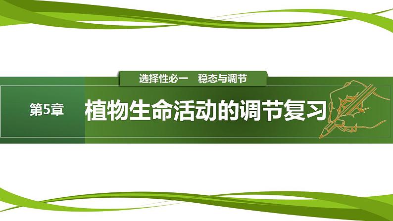 第5章 植物生命活动的调节（复习课件）-2023-2024学年高二生物同步精品课件+分层训练（人教版2019选择性必修1）01