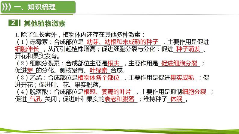 第5章 植物生命活动的调节（复习课件）-2023-2024学年高二生物同步精品课件+分层训练（人教版2019选择性必修1）08