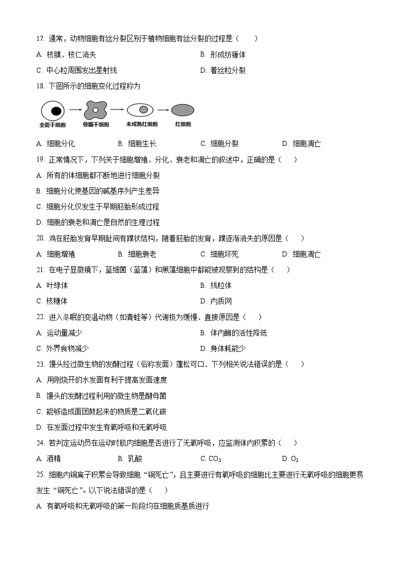 北京市通州区2023-2024学年高一上学期期末质量检测生物试题（Word版附解析）03