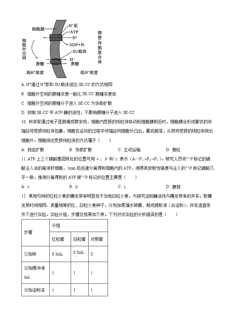 江西省吉安市2023-2024学年高一上学期期末生物试题（Word版附解析）03