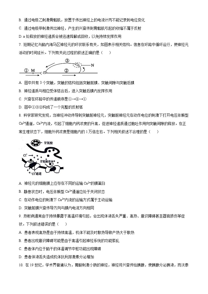安徽省芜湖市2023-2024学年高二上学期期末考试生物试题（Word版附解析）03