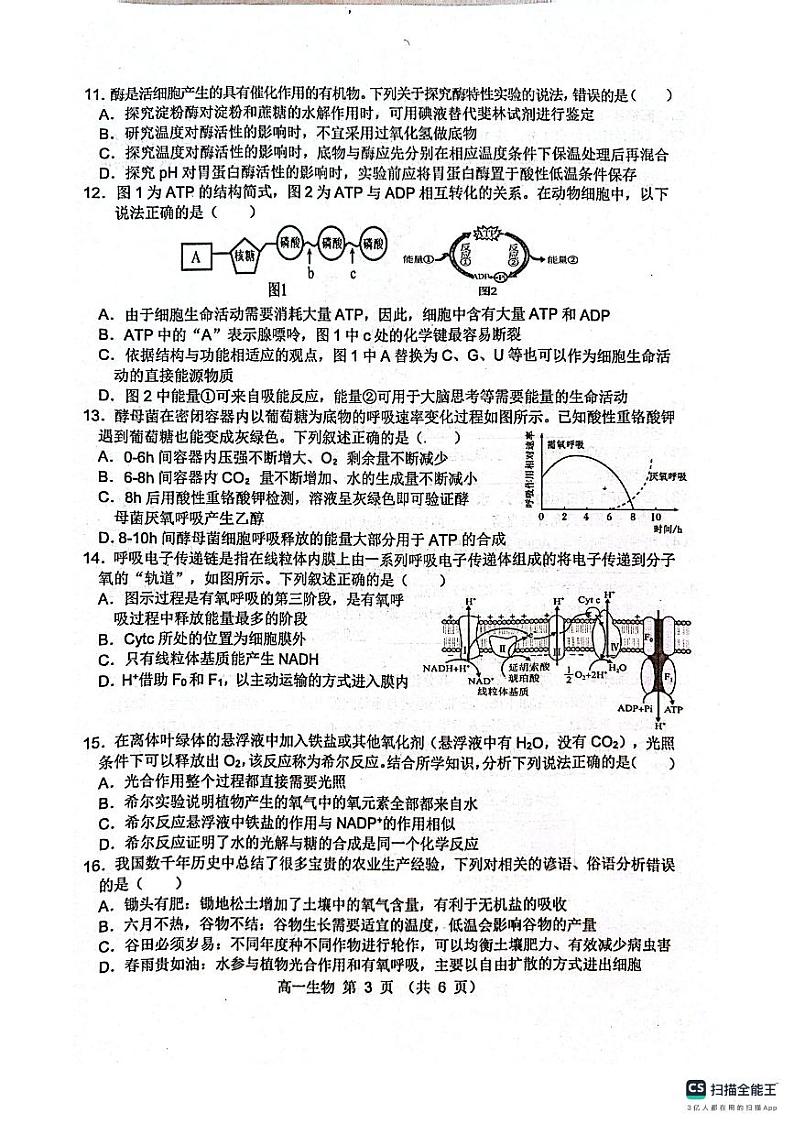 安徽省宿州市省、市示范高中2023-2024学年高一上学期期末考试生物试题（PDF版附答案）03