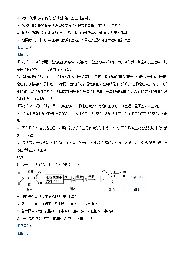 湖北省武汉市部分重点中学2023-2024学年高一上学期期末联考生物试题（Word版附解析）02