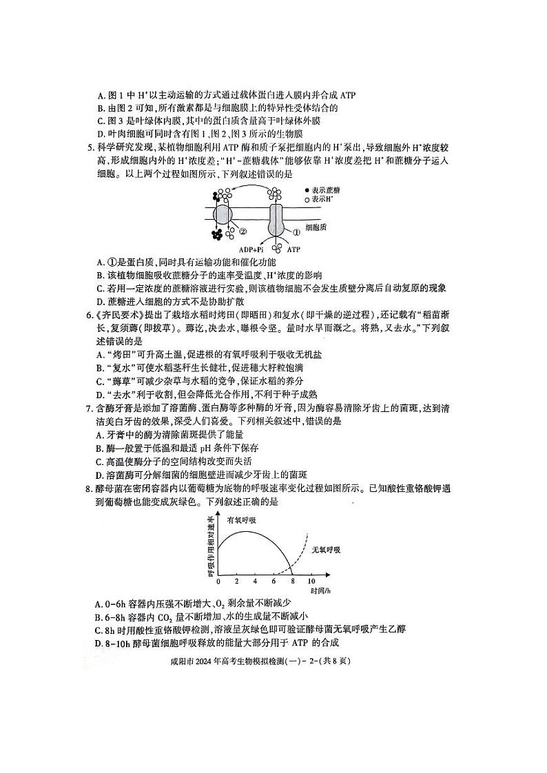 咸阳市2024年高考模拟检测（一）（一模）生物试题和答案02