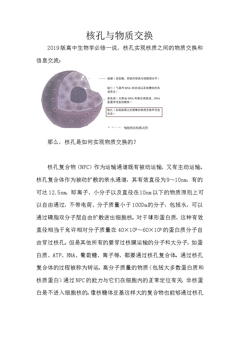 备课素材知识点：核孔与物质交换  高中生物人教版必修1第1页