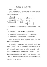 备课素材知识点：蛋白质的分选机制  高中生物人教版必修1