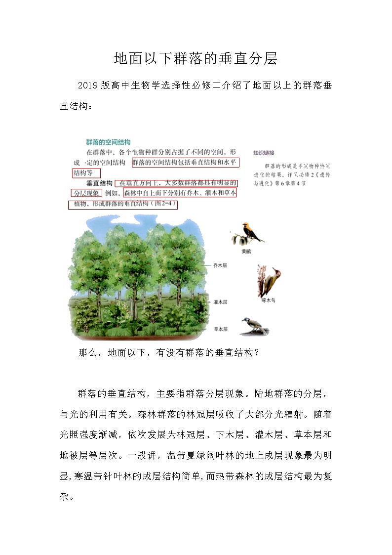 备课素材知识点：地面以下群落的垂直分层  高中生物人教版选择性必修2第1页