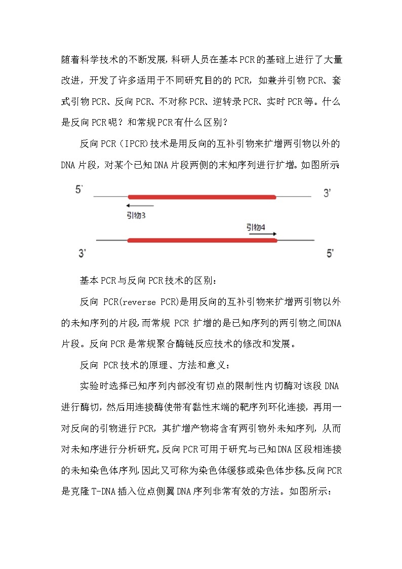 备课素材知识点：反向PCR技术  高中生物学选择性必修三02