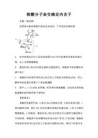 备课素材知识点：核酸分子杂交确定内含子  高中生物学必修二
