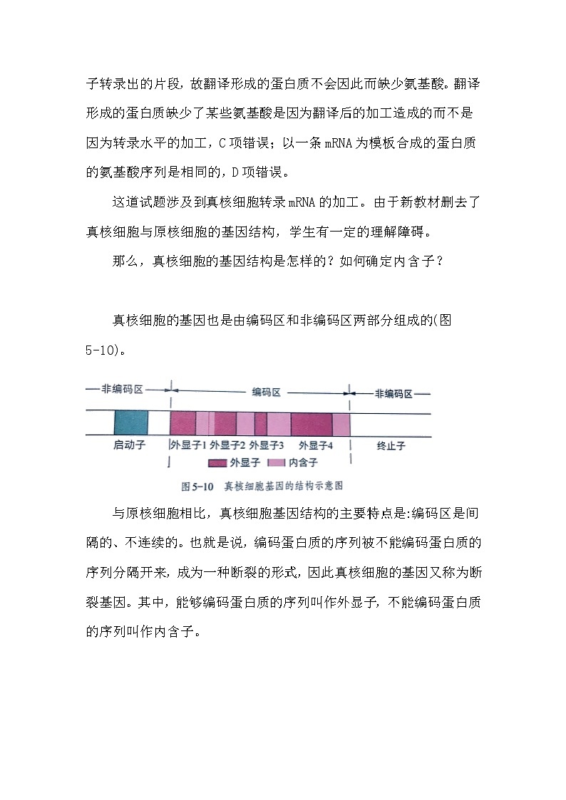 备课素材知识点：核酸分子杂交确定内含子  高中生物学必修二第2页