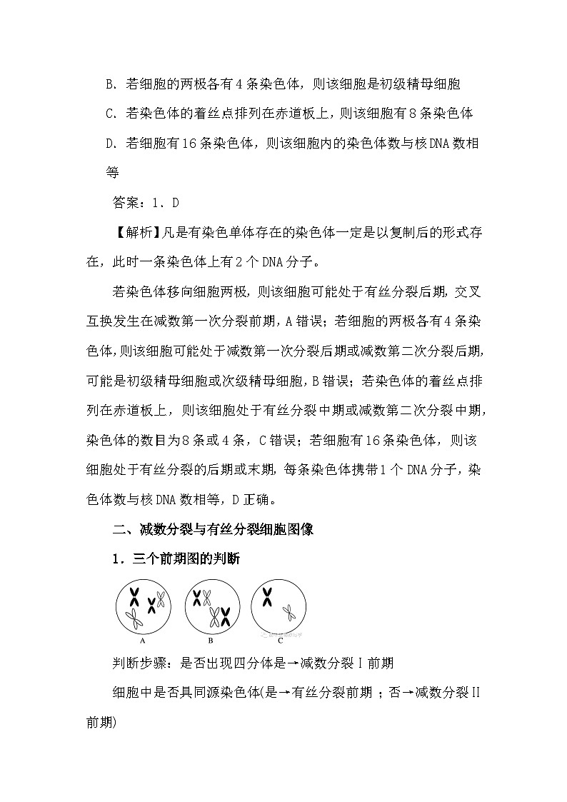 备课素材知识点：减数分裂和有丝分裂的综合规律  高中生物人教版必修2第2页