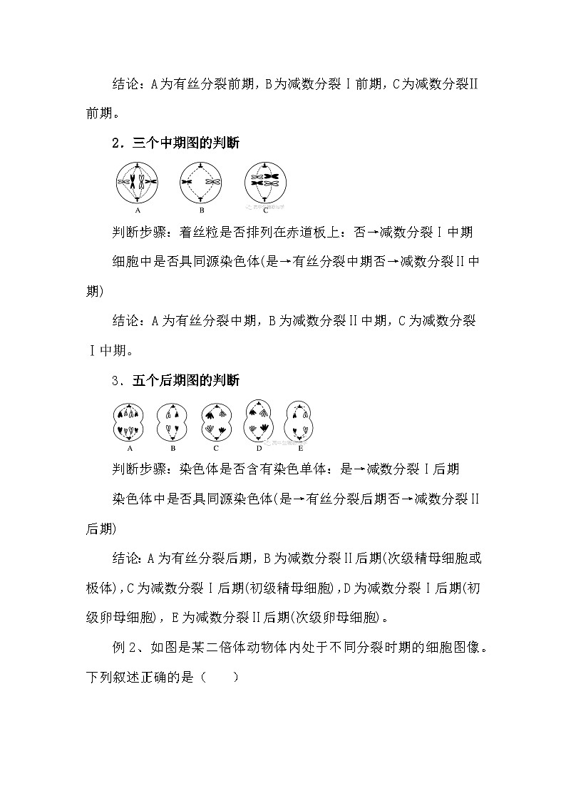 备课素材知识点：减数分裂和有丝分裂的综合规律  高中生物人教版必修2第3页