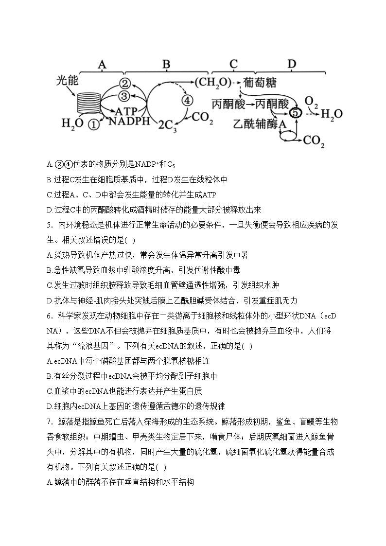 范县第一中学2021-2022学年高二下学期期末检测生物试卷(含答案)02