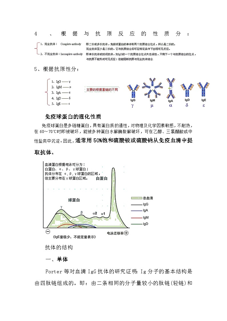 备课素材知识点：抗体的结构与分类  高中生物人教版选择性必修1第3页