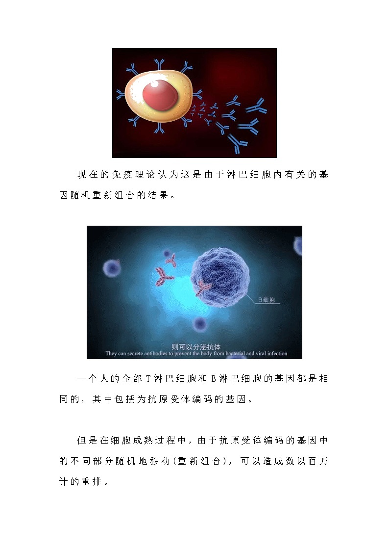 备课素材知识点：抗原受体多样性的原因  高中生物人教版选择性必修102