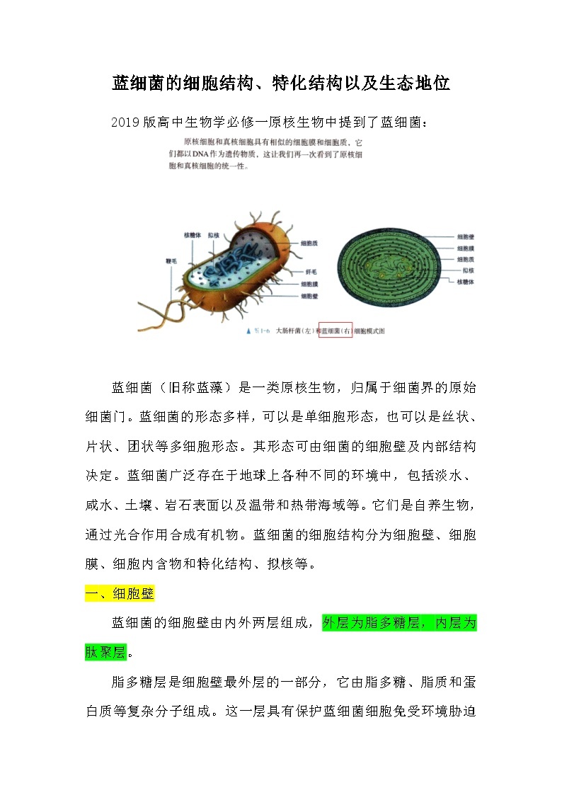 备课素材知识点：蓝细菌的细胞结构、特化结构以及生态地位  高中生物人教版必修101