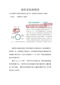 备课素材知识点：逆转录病毒载体  高中生物人教版选择性必修3