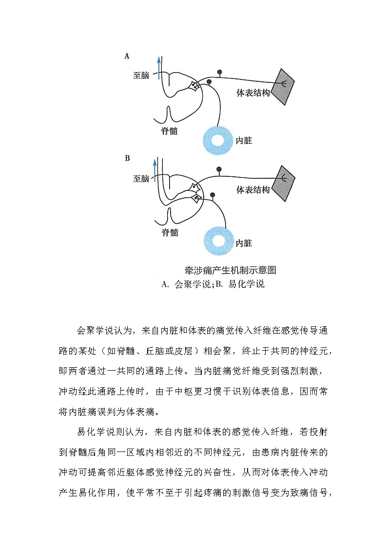 备课素材知识点：牵涉痛的原理  高中生物人教版选择性必修1第3页
