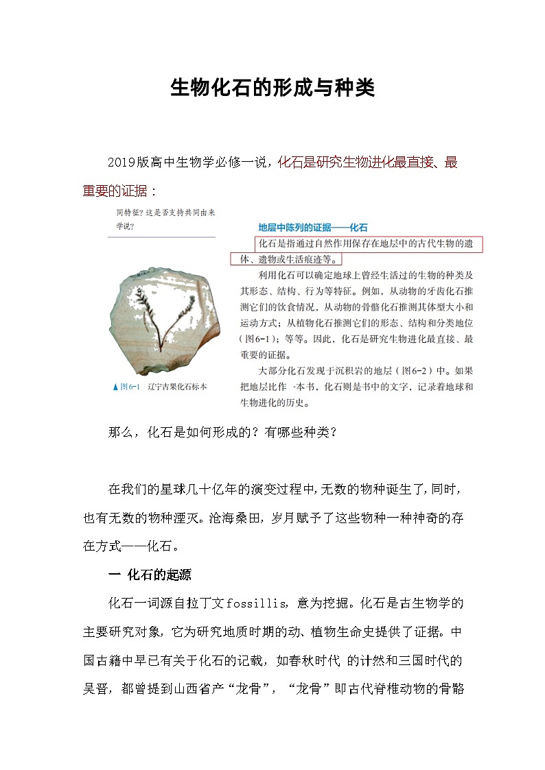备课素材知识点：生物化石的形成与种类  高中生物学必修二第1页