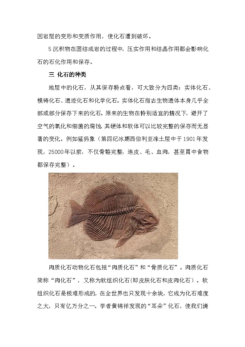 备课素材知识点：生物化石的形成与种类  高中生物学必修二第3页