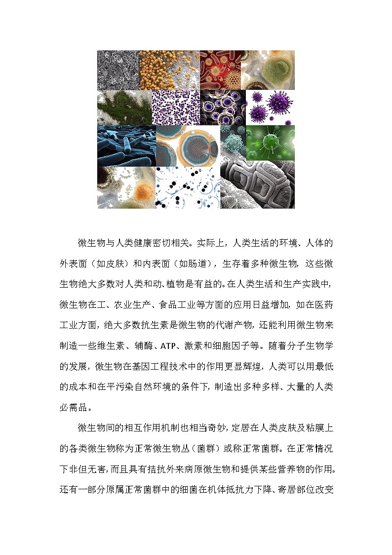 备课素材知识点：微生物与人类健康   高中生物学选择性必修三第2页