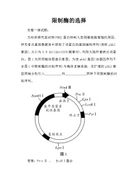 备课素材知识点：限制酶的选择   高中生物学选择性必修三