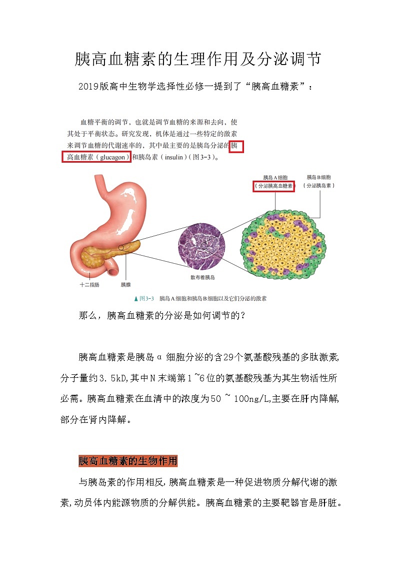 备课素材知识点：胰高血糖素的生理作用及分泌调节   高中生物学选择性必修一01