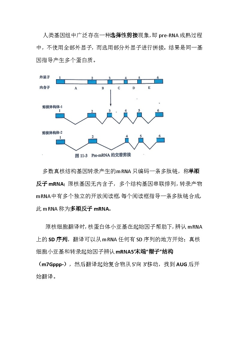 备课素材知识点：真核基因与基因组  高中生物人教版必修2第3页